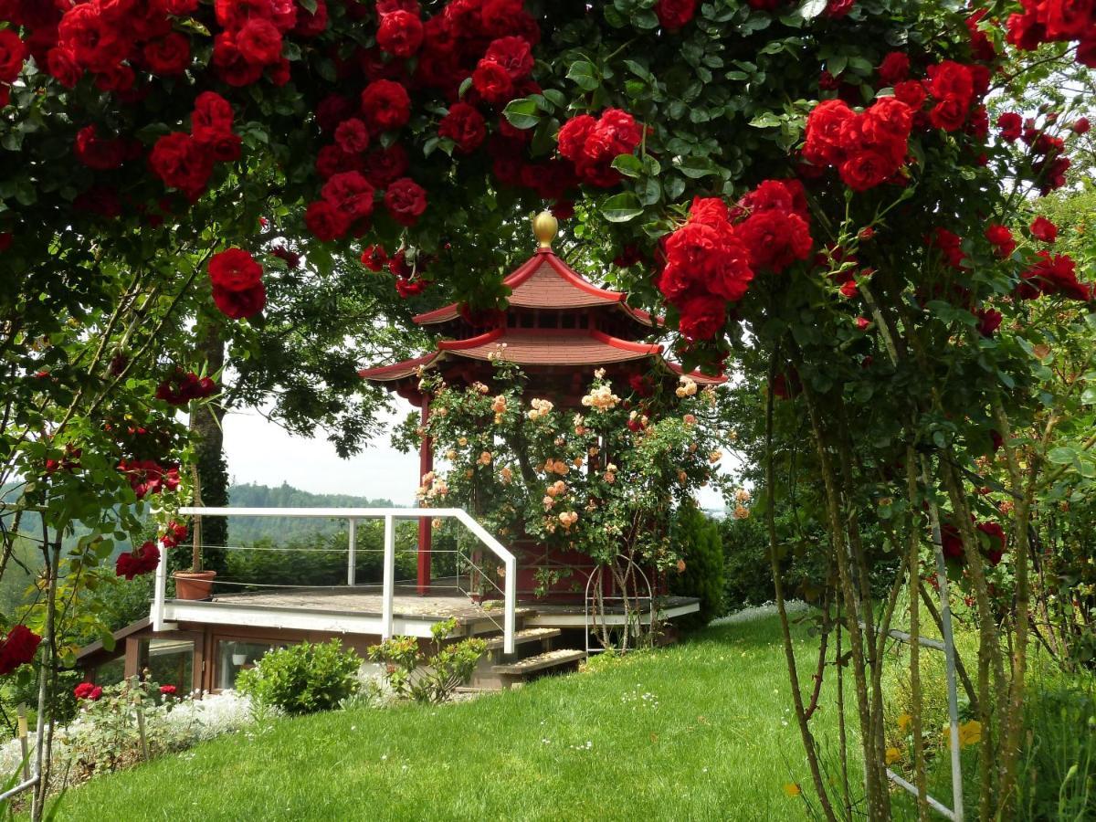 Ferienwohnung Blick Ins Tal 阿尔高的万根 外观 照片